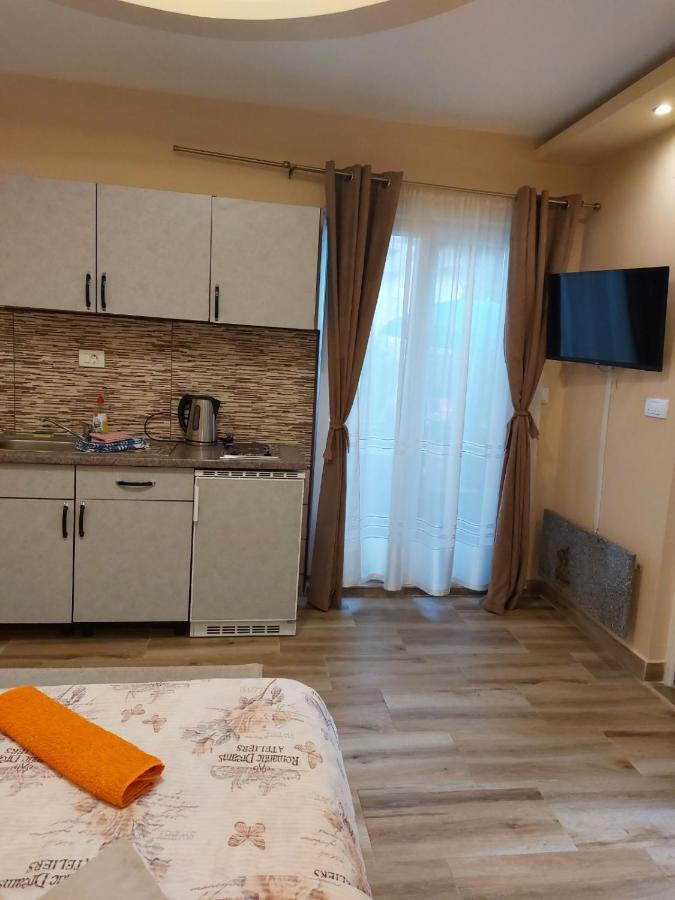 Apartmani Knezevic Ζλάτιμπορ Εξωτερικό φωτογραφία