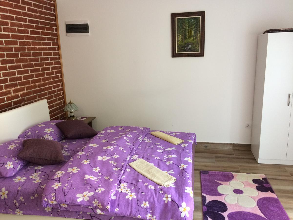 Apartmani Knezevic Ζλάτιμπορ Εξωτερικό φωτογραφία